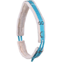 Produktbild von QHP Ontario Longiergurt für Warmblut in Sky Blau aus Polyester