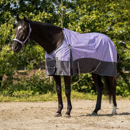 Produktbild von QHP Outdoor-Pferdedecke in Lila