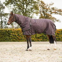 Produktbild von QHP Outdoor-Pferdedecke mit abnehmbarer Halsabdeckung 150g