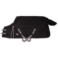 Produktbild von QHP Outdoordecke Tournout XL für Friesen und großrahmige Pferde mit 300g Füllung Schwarz