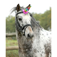 Produktbild von QHP Pferde Einhorn Sattelzubehör aus Polyester in Bunt und Grau
