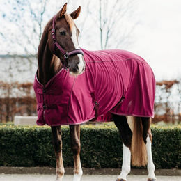 QHP Pferde Transportdecke Coolmesh Astana mit Widerristpolster Blau 165 cm – Bild 1 von 2