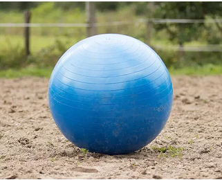 QHP Pferdefußball Jumbo Spielball aus Kunststoff Blau - 1 Stk. – Bild 1 von 2