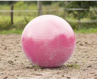 QHP Pferdefußball Spielzeug aus Kunststoff in Rosa Einheitsgröße – Bild 1 von 2