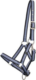 Produktbild von QHP Pferdehalfter für Fohlen aus Nylon in Blau