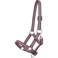 Produktbild von QHP Pferdehalfter für Fohlen aus Nylon in Rosa