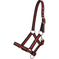 Produktbild von QHP Pferdehalfter für Fohlen aus Nylon in Rot oder Schwarz