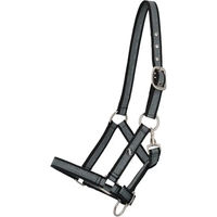 Produktbild von QHP Pferdehalfter für Fohlen aus Nylon in Schwarz oder Grün