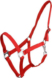 QHP Pferdehalfter Q-essentials mit Schiebeschnalle aus Kunststoff in Rot XL – Bild 1 von 8