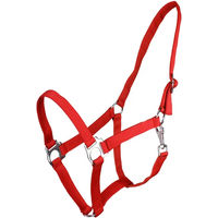 Produktbild von QHP Pferdehalfter Q-essentials mit Schiebeschnalle aus Kunststoff in Rot XL
