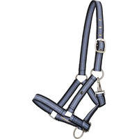 Produktbild von QHP Pferdehalfter Yearling aus Nylon in Blau