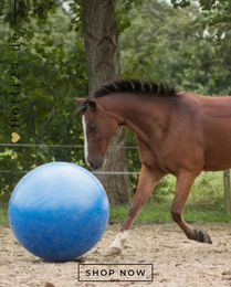 Produktbild von QHP Pferdespielzeug Hufkicker Pferdefußball aus Kunststoff Blau