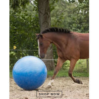 Produktbild von QHP Pferdespielzeug Hufkicker Pferdefußball aus Kunststoff Blau