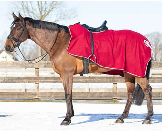 QHP Polar Nierendecke Fleece-Ausreitdecke mit Ornament in Bordeaux Rot und Silber Grösse M – Bild 1 von 3