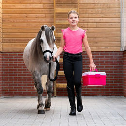 Produktbild von QHP Pony Power Putzset aus Kunststoff in Bunt und Transparent