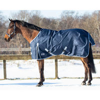 Produktbild von QHP Pony Regendecke Turnout 600D 200gr Blau