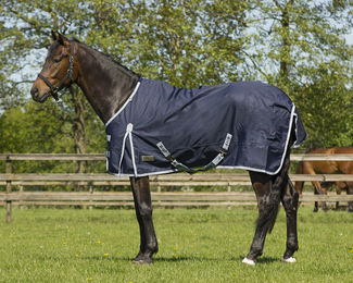Produktbild von QHP Pony Regendecke Turnout 600D ohne Füllung Blau