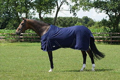 Produktbild von QHP Profi Sommerdecke für Pferde Blau 145cm