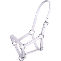 Produktbild von QHP Q-essentials Chico Lederhalfter für Fohlen