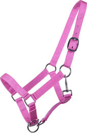 Produktbild von QHP Q-essentials Fohlen-Halfter für Jährlinge aus Nylon in Rosa