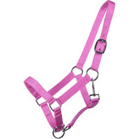 Produktbild von QHP Q-essentials Fohlen-Halfter für Jährlinge aus Nylon in Rosa