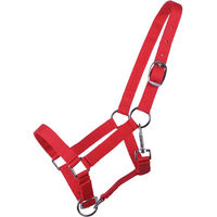 Produktbild von QHP Q-essentials Fohlen-Halfter für Jährlinge aus Nylon in Rot