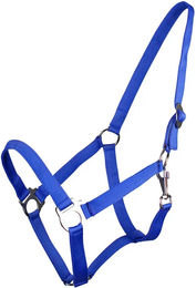 QHP Q-essentials Pferdehalfter aus Nylon mit Schiebeschnalle Blau XL – Bild 1 von 8