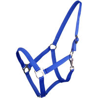 Produktbild von QHP Q-essentials Pferdehalfter aus Nylon mit Schiebeschnalle Blau XL
