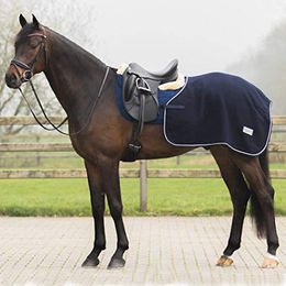 QHP Quarter Ausreitdecke Abschwitzdecke für Pferde in Marineblau mit Wolle und Polyester Größe L – Bild 1 von 4