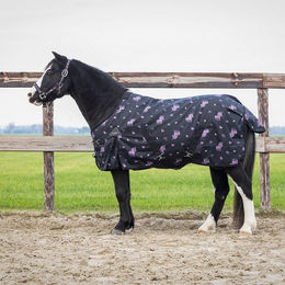 QHP Regendecke Turnout Lize für Pferde mit 100g Füllung in Schwarz-Lila – Bild 1 von 6