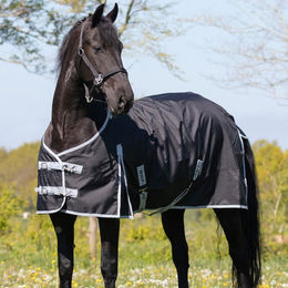 QHP Regendecke Turnout XL 600D Schwarz 0g Füllung für Pferde - 135 cm – Bild 1 von 3