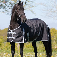 Produktbild von QHP Regendecke Turnout XL 600D Schwarz für Friesen und großrahmige Pferde