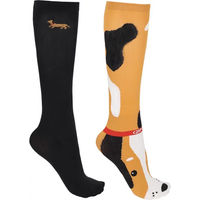 Produktbild von QHP Reitsocken Damen Stable Buddy Geschenkbox 2er-Pack Schwarz Bunt Größe 35-38