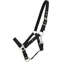 Produktbild von QHP Shetty Heftriem mit Futter aus Nylon in Schwarz