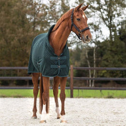 QHP Showdecke Avélie Pferdedecke aus Polyester in Grün – Bild 1 von 2