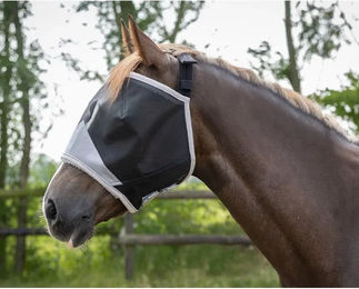 Produktbild von QHP Solaire Fliegenhaube für Ponys ohne Ohren aus Polyester