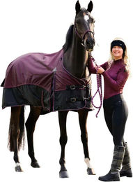 QHP Sportshirt Zahra Reitshirt für Damen aus Polyester Winter Rot Lila – Bild 1 von 2