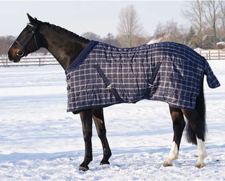 Produktbild von QHP Stalldecke für Pferde Luxe 300g Füllung Blau Kariert 135 cm - 300 g