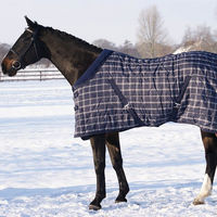 Produktbild von QHP Stalldecke Luxe für Pferde mit 300g Füllung Blau Kariert 165 cm