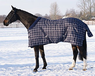 Produktbild von QHP Stalldecke mit 300 g Füllung und Fleecekragen Blau Kariert 110 cm