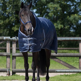 QHP Stalldecke Start Blau aus Polyester – Bild 1 von 1