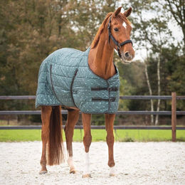 QHP Stalldecke Start Collection aus Polyester Grün 155 cm - 200 g – Bild 1 von 2