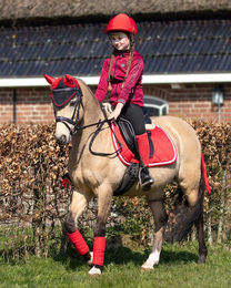 QHP Teufel Ohrhaube Halloween für Warmblut in Schwarz und Rot – Bild 1 von 2