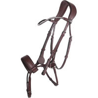 Produktbild von QHP Trense Sedna für Warmblut aus Leder in Braun mit Gelpadding