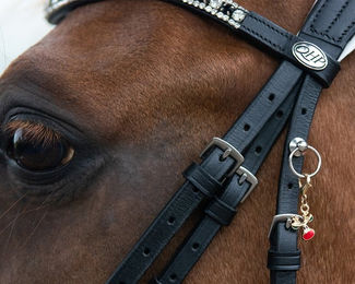 Produktbild von QHP Trensenanhänger Weihnachten aus Metall