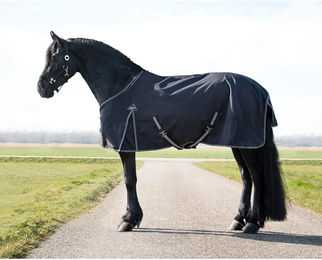 Produktbild von QHP Turnout Big Neck Outdoor-Decke für Pferde in Schwarz XL mit 150g Füllung