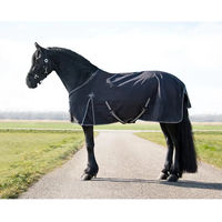 Produktbild von QHP Turnout Big Neck Outdoor-Decke für Pferde in Schwarz XL mit 150g Füllung