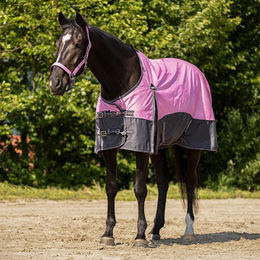Produktbild von QHP Turnout Rug Collection Pferdedecke aus Polyester