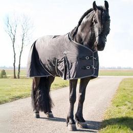 Produktbild von QHP Turnoutdecke Big Neck für Pferde Schwarz 150g