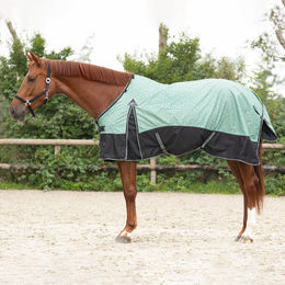 Produktbild von QHP Turnoutdecke Collection 0g aus Polyester für Pferde